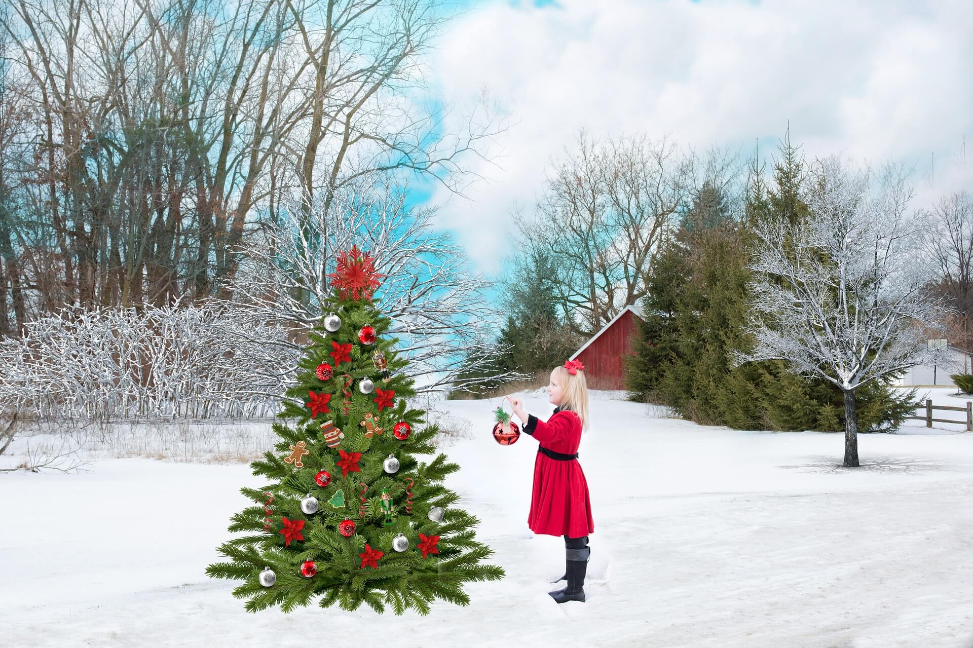 holiday decorating, decorating safety, security specialists decorating tips, security specialists safety tips, security specialists decorating safety tips, access control, barrier gates, video surveillance, burglary prevention, theft alarm, intrusion protection, stamford security, CT security