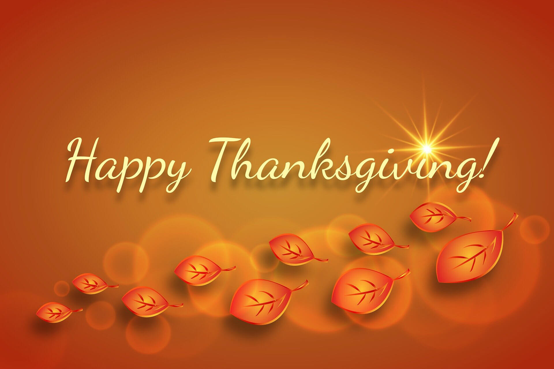 Happy Thanksgiving from Security Specialists, Security Specialists Closed for Holiday, happy Thanksgiving 2019, Security Specialists Thanksgiving 2019, Stamford Thanksgiving, Connecticut Thanksgiving, access control, video surveillance, security specialists access control, fire detection systems, security specialists fire detection, commercial fire protection systems, KIDDE strategic partner.