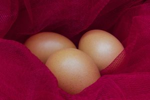 Easter Egg Safety, Passover Egg Safety, Security Specialists Egg Safety Tips, Passover and Easter 2023 Egg Safety TIps