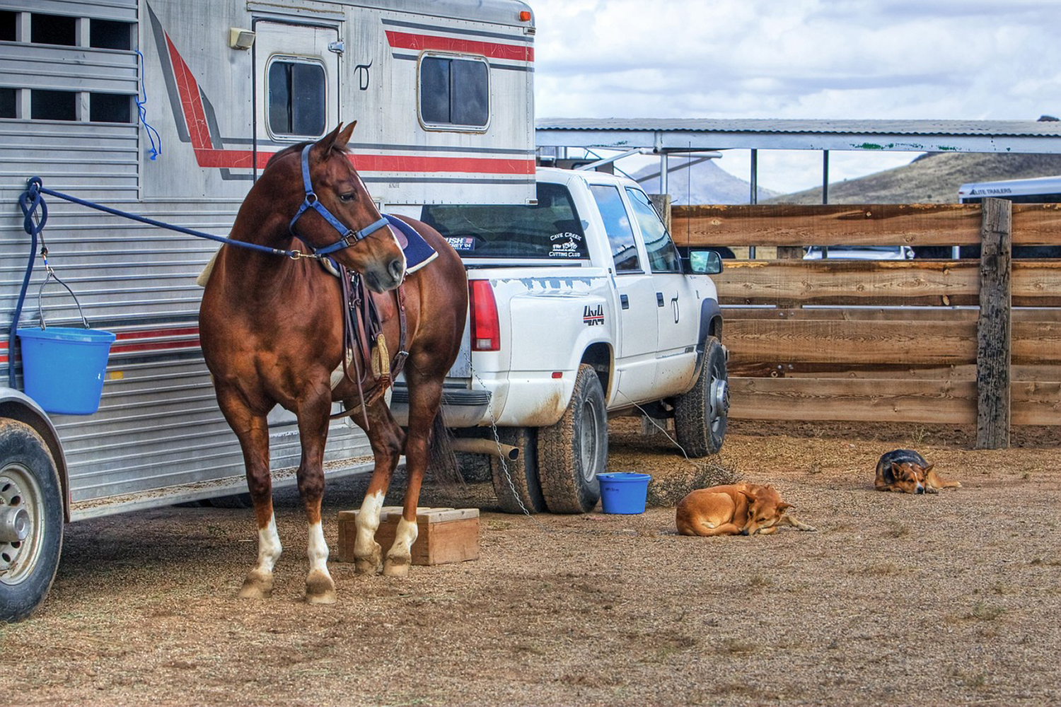 Trailer Safety Week is Here -Let’s Make Our Roadways Safer!