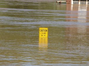 food safety tips following a flood, security specialists food safety tips, food protection tips following hurricanes, hurricane helene food safety tips