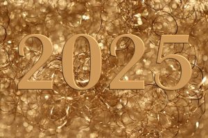 security specialists 2025 new year holiday closing, 2025 new year closing, happy new year 2025, security specialists new year 2025